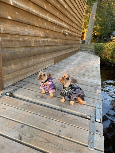 Customer photo review of Playa Poncho - Surprise Color