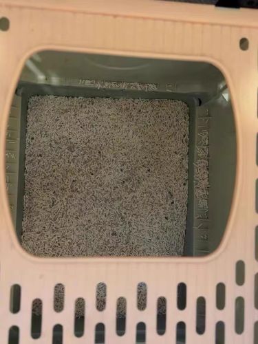 Customer photo review of Michu Tofu Cat Litter Gen3- Dust-Free and Natural Clumping Tofu-Based Formula for Easy Cleanup