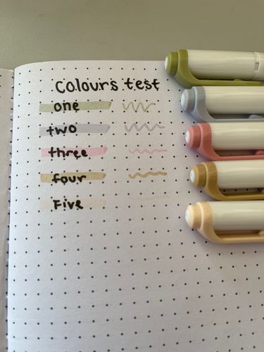 Customer photo review of Zebra Mildliner Double Sided Highlighters - Mild Natural