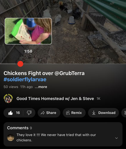 Customer photo review of GrubTerra Dried Black Soldier Fly Larvae