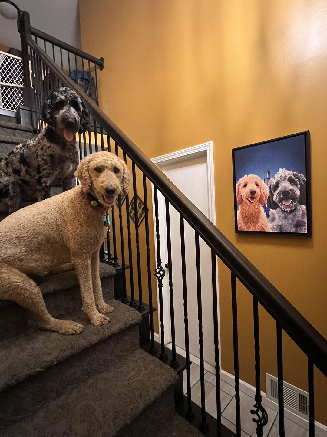 Customer photo review of Custom Pet Portrait