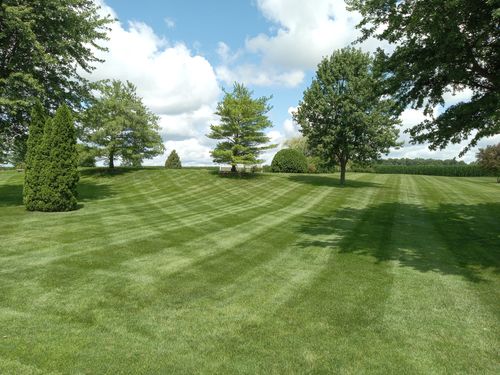 Customer photo review of GCI Turf 5-0-5