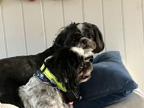 Customer photo review of ByteTag Slide