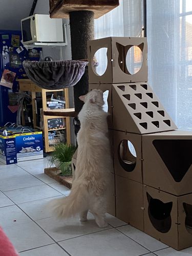 Customer photo review of The Royal Castle