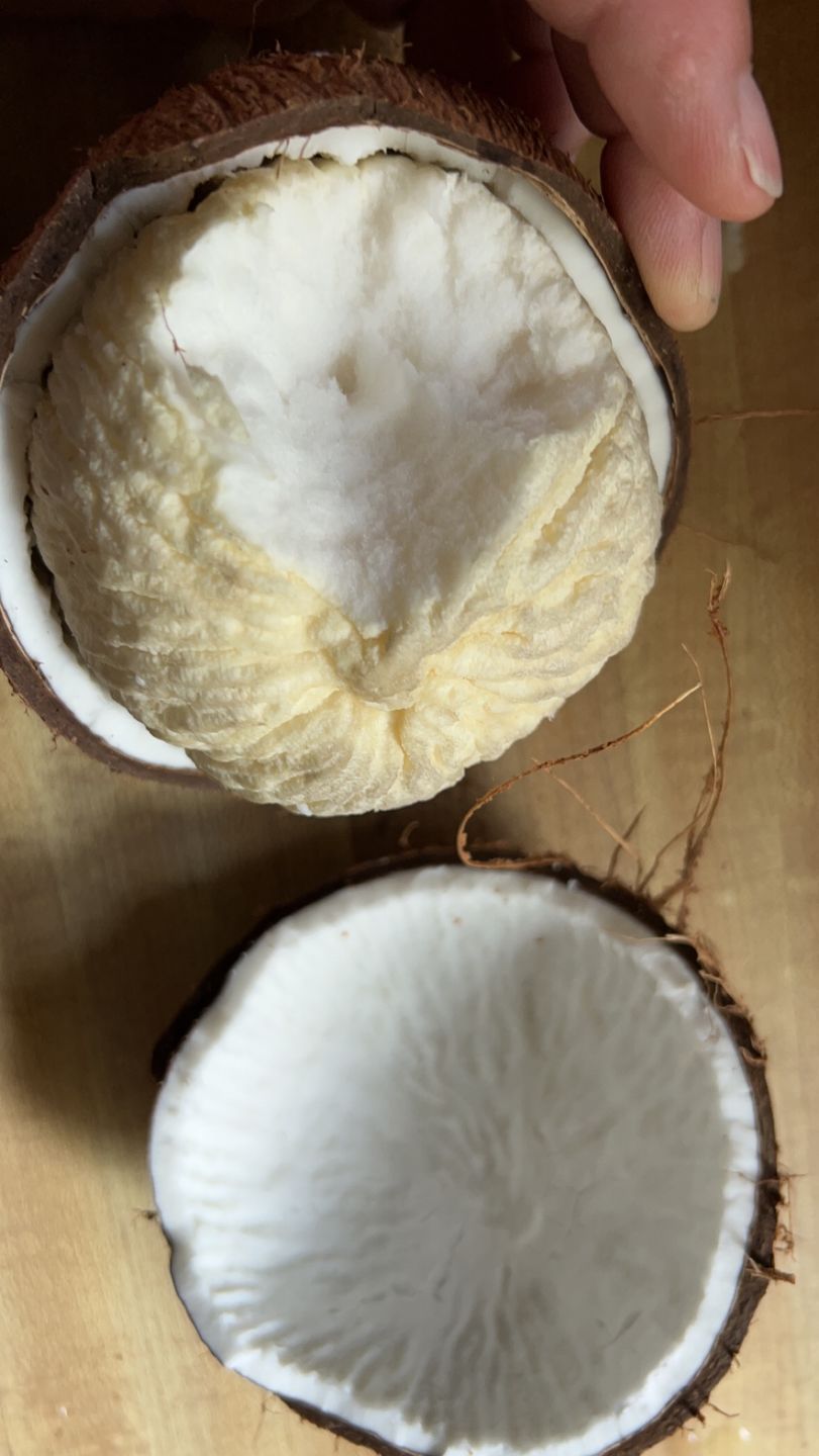 Customer photo review of Sprouted Coconut Box