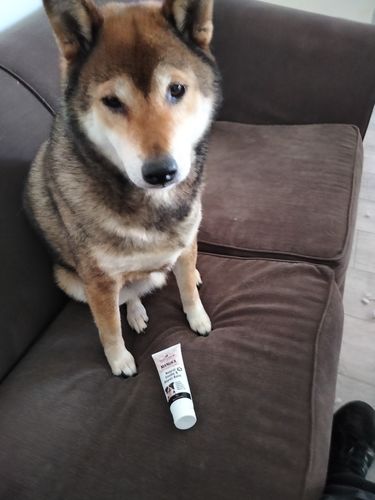 Customer photo review of Manuka Balm Distraction Treat Bundle