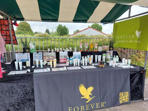 Customer photo review of Aloe Vera Kunstplant 45cm