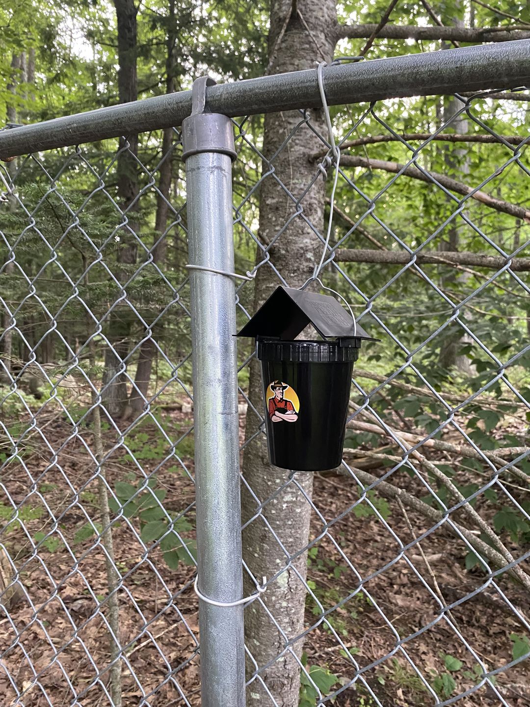 Customer photo review of Mosquito TNT 2.0