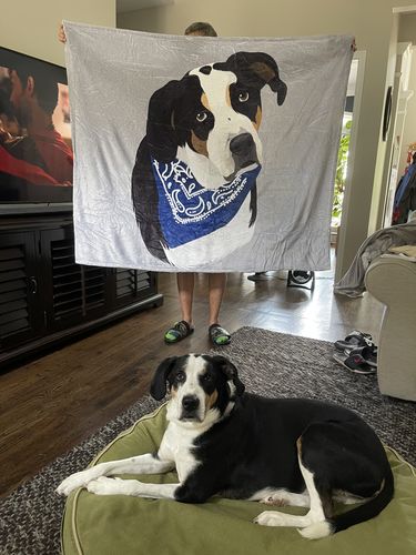 Customer photo review of Custom Pet Print Fleece Blanket