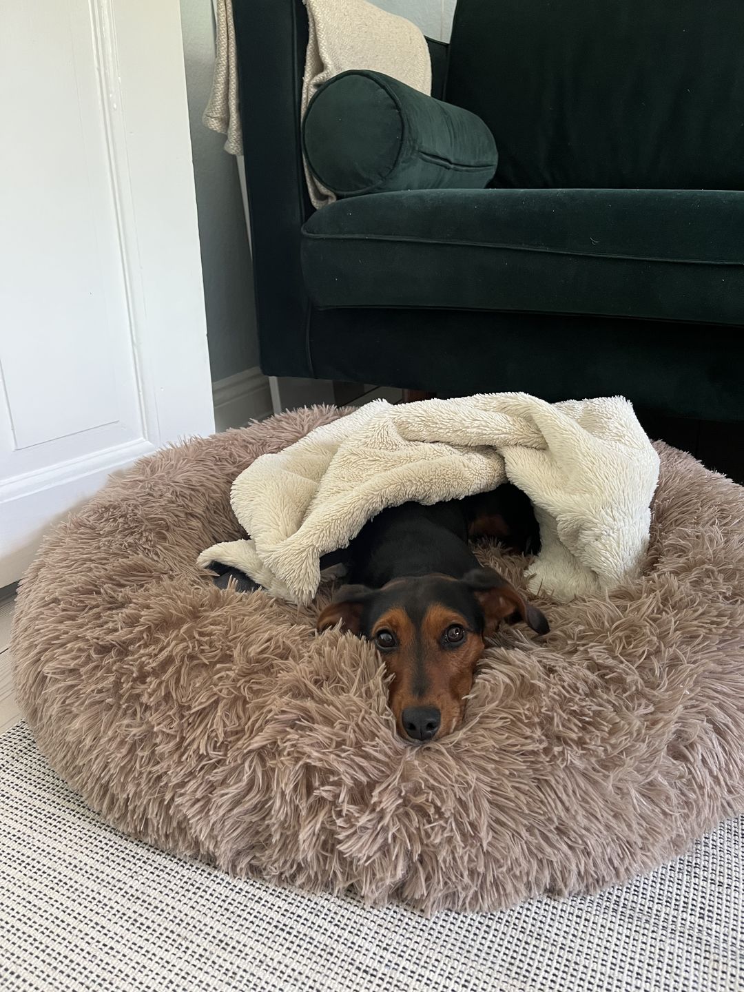 Customer photo review of THE ORIGINAL - Donut hundeseng (brun)