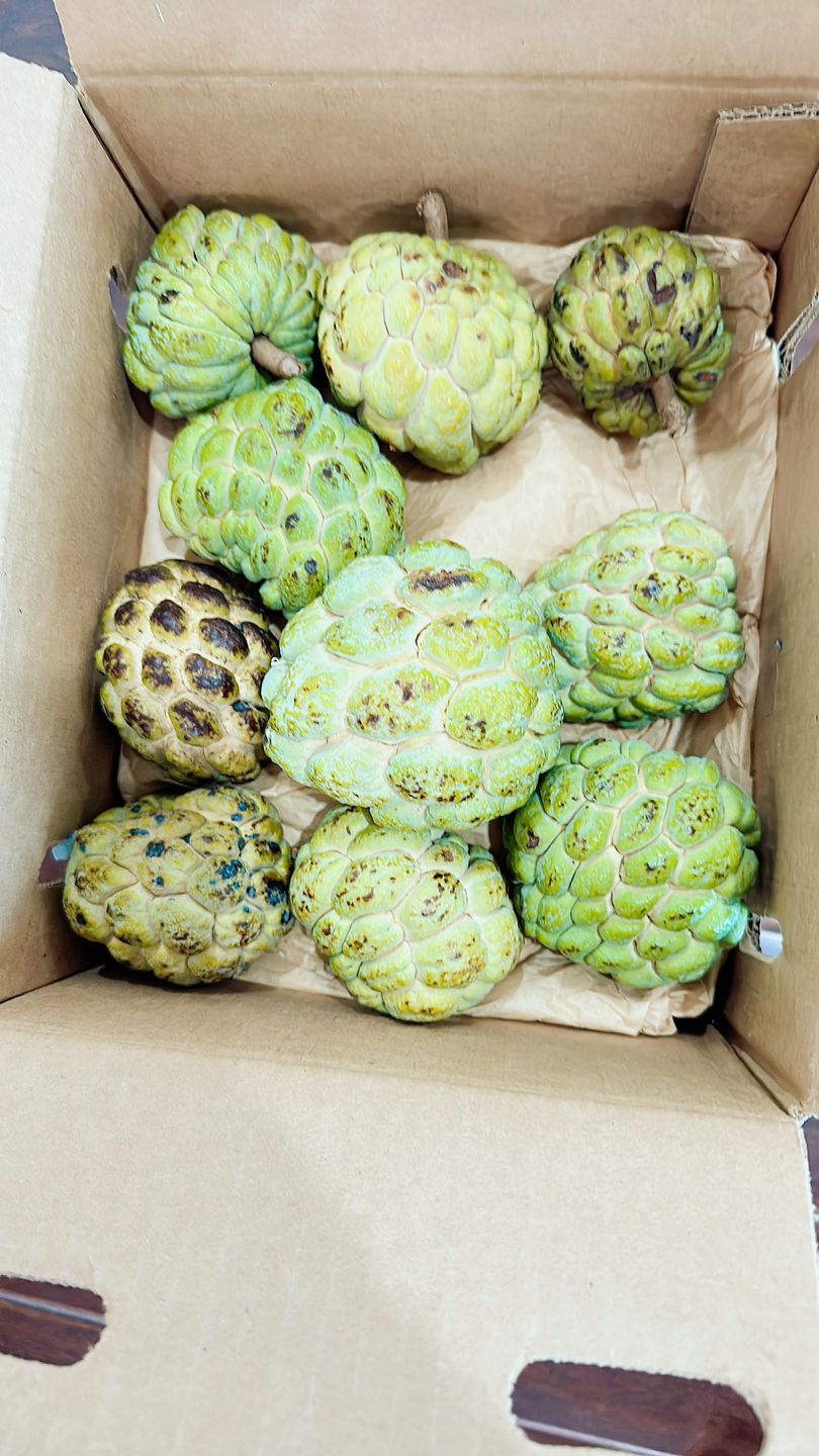 Customer photo review of Sugar Apple (Sweetsop) Box *Pre-Order*