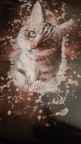 Customer photo review of Aquarell Pawtrait