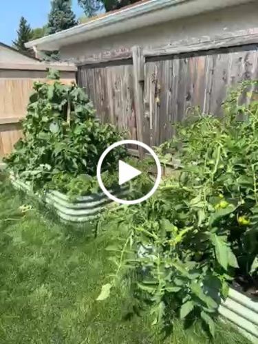 Customer video review of 17” Tall Modular 9 in 1