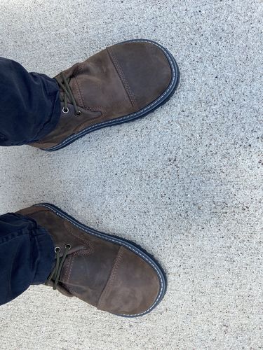 Customer photo review of Bruin