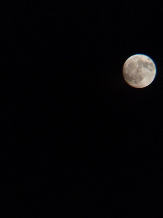 Customer photo review of SpectraZoom X 18 Phone Lens