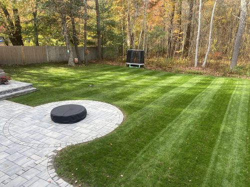 Customer photo review of Protene Performance Summer Fertilizer