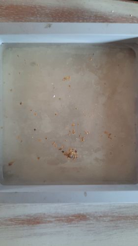 Customer photo review of *TROGO* Flawless '$5,000 GOLD NUGGET DISCOVERY' - Gold Panning Paydirt