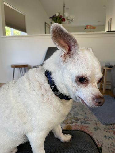 Customer photo review of ByteTag Slide