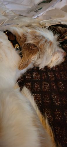 Customer photo review of ByteTag Slide