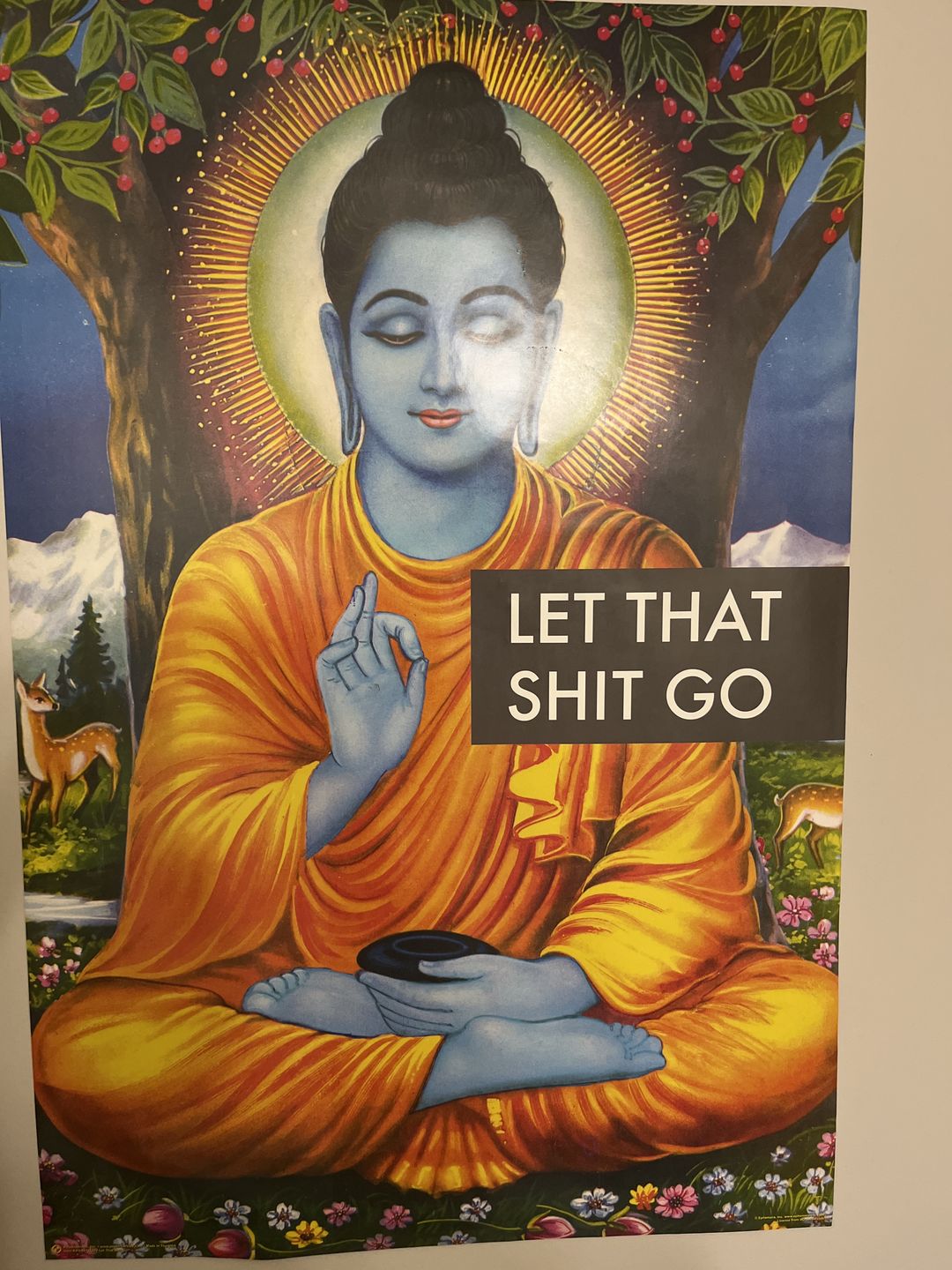 Customer photo review of Let That Shit Go Buddha Poster