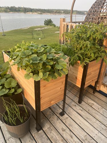 Customer photo review of 18" x 48" Raised Garden Bed