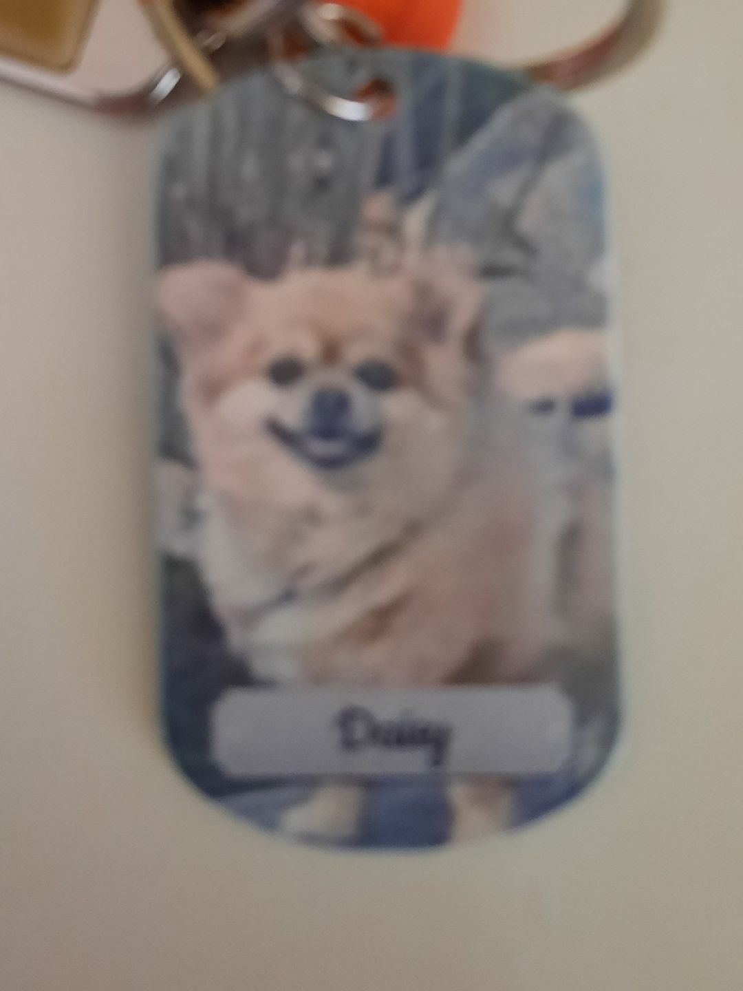 Customer photo review of Doppeltes Foto - Individueller Dog Tag Schlüsselanhänger