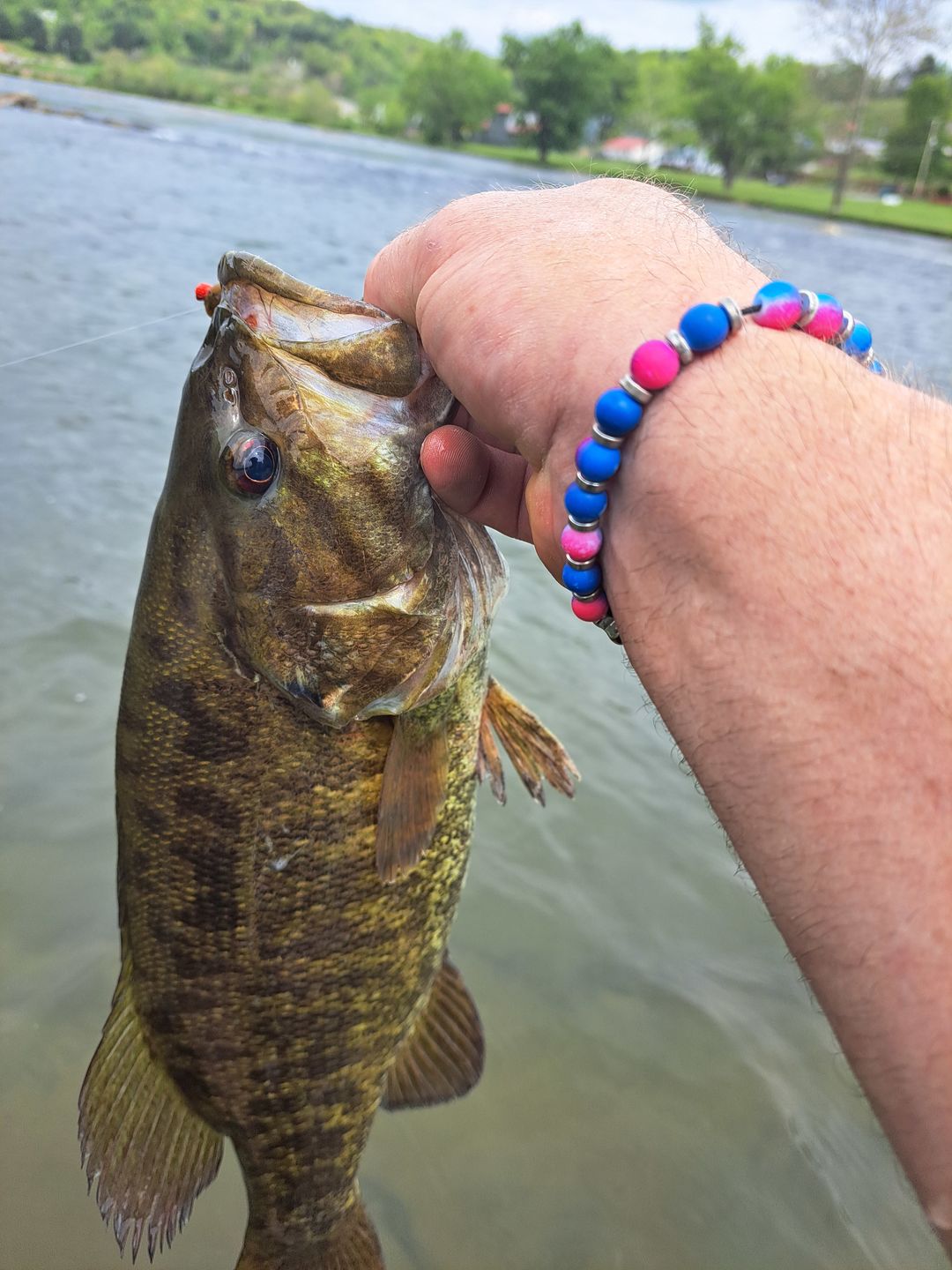 Customer photo review of 200% Sensitivity Tungsten Ball Jig Head | Bulk Pack
