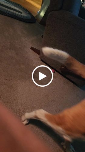 Customer video review of multi-birthstone juno bracelet (3mm)