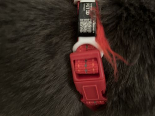 Customer photo review of ByteTag Slide