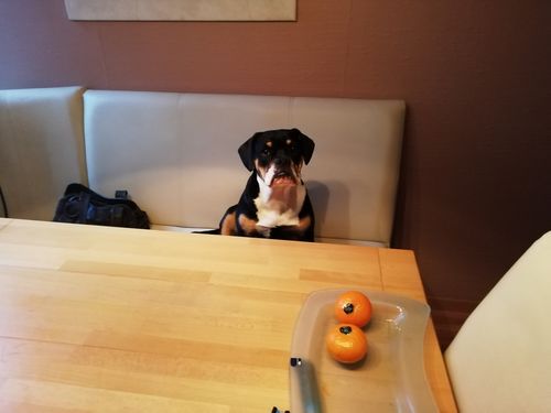 Customer photo review of Happy Hips