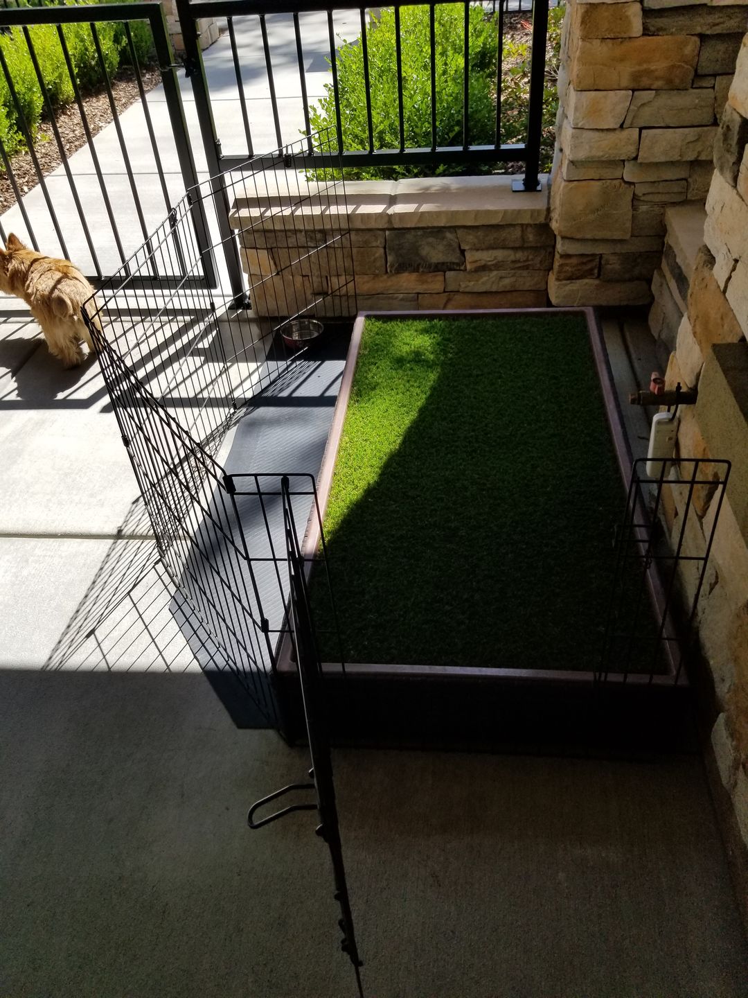 Customer photo review of Synthetic Grass for Porch Potty