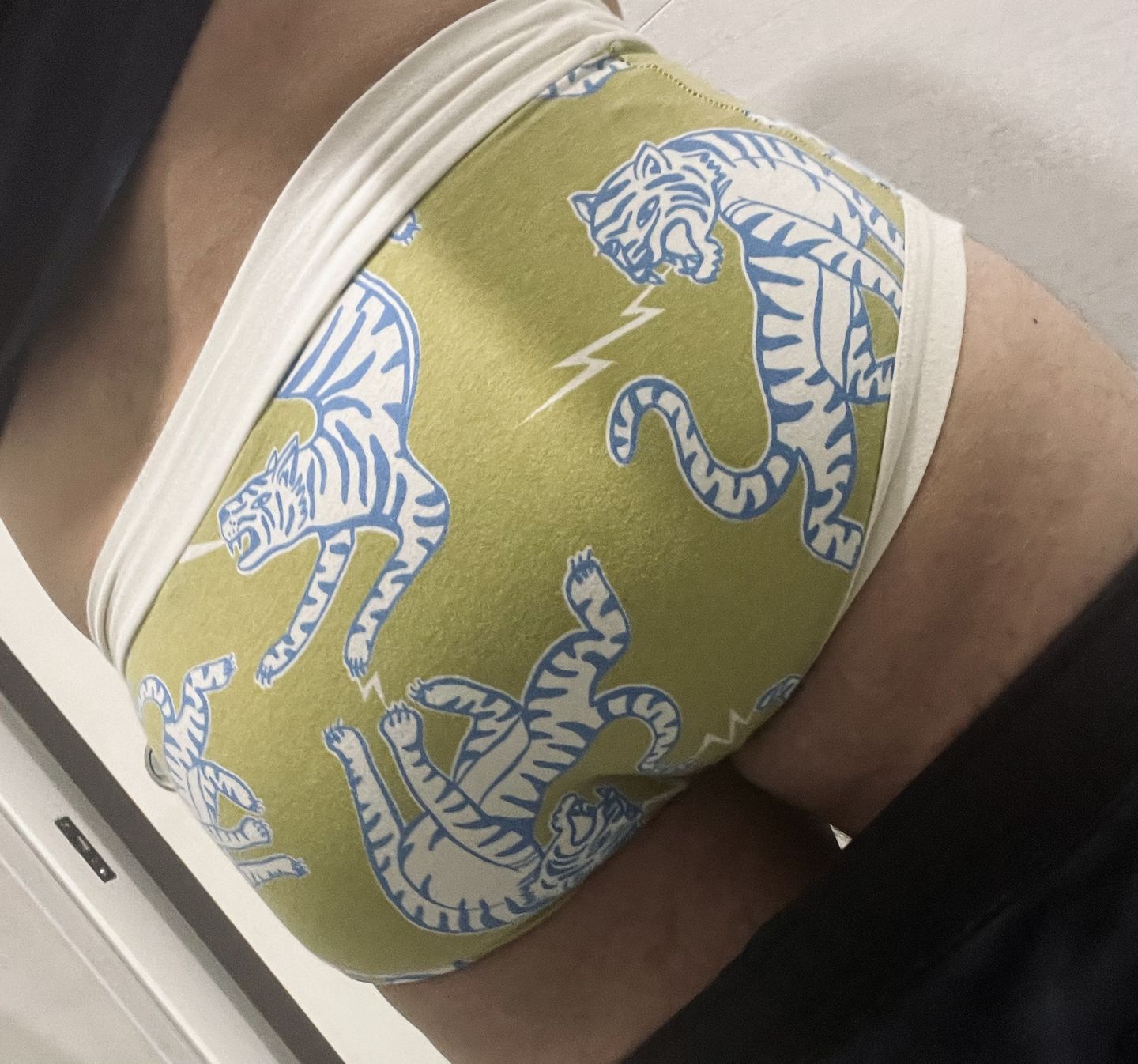 Customer photo review of Pouch Fronted Brief Plain Black
