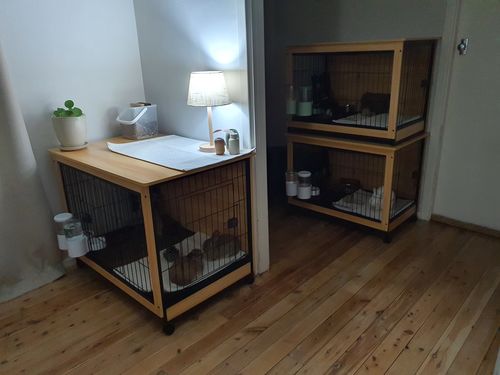 Customer photo review of PaWz Wooden Wire Dog Kennel