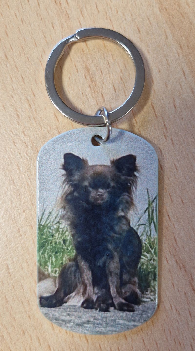 Customer photo review of Ne pleure pas - Porte-clés Dog Tag personnalisé