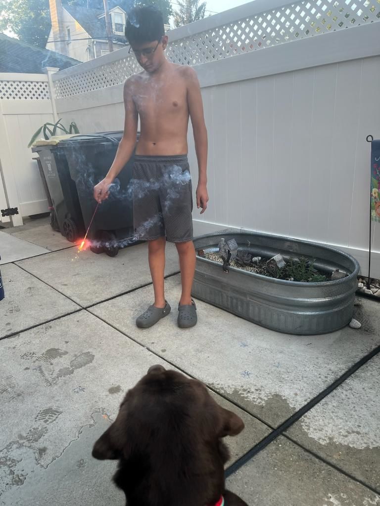 Customer photo review of Bark-Less Bites - Trial Size Sampler - For All Pets