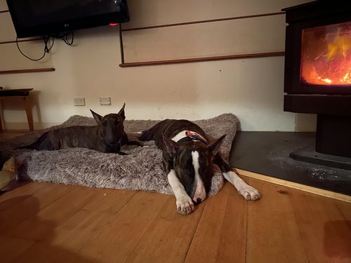 Customer photo review of PaWz  Multimat