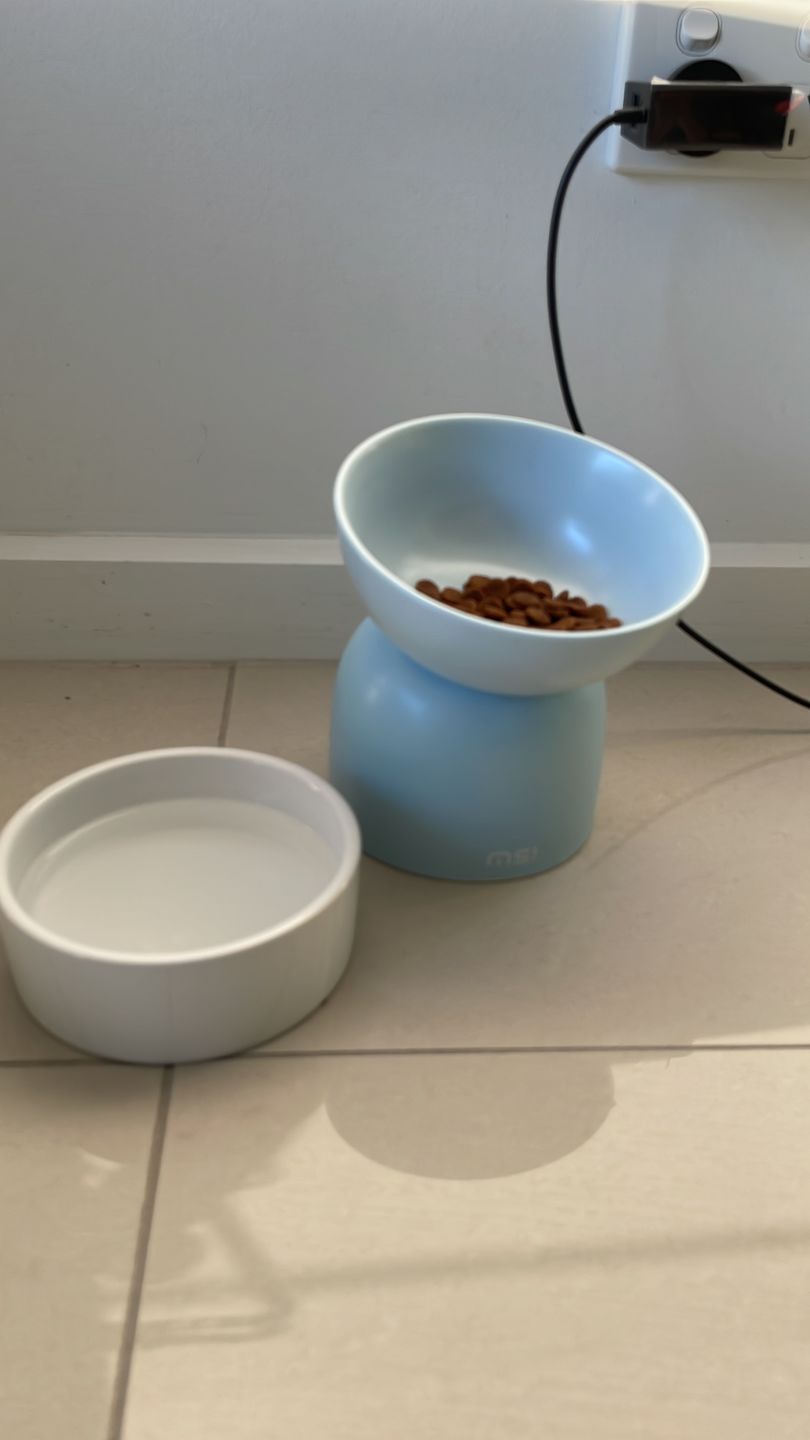 Customer photo review of Makesure Sugar Bean Ceramic Double Pet Bowls For Cat and Small Dogs
