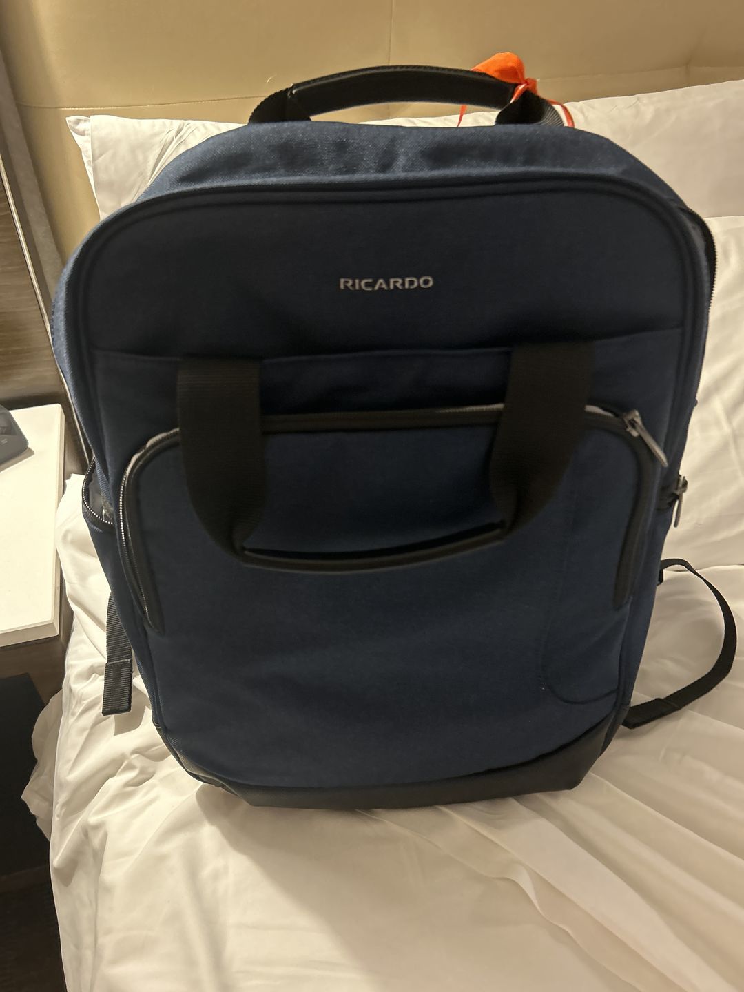 Customer photo review of Convertible Tech Backpack