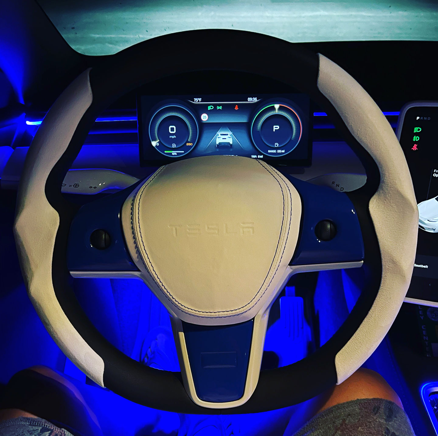 Customer photo review of Custom Airbag Top Cover for Model 3 & Model Y