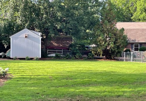 Customer photo review of GCI Turf Alpha Elite Bermuda Grass Seed