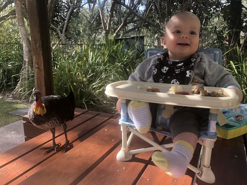 Customer photo review of Harper baby chair