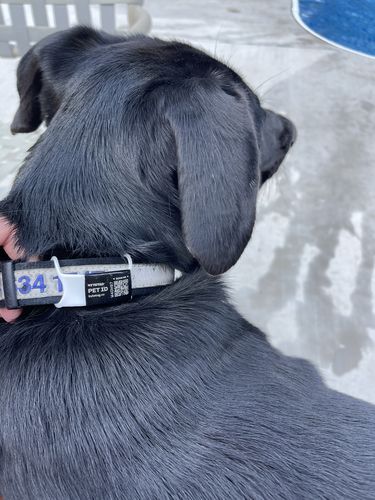 Customer photo review of ByteTag Slide