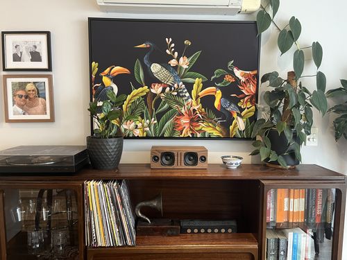 Customer photo review of Birds of the Forest