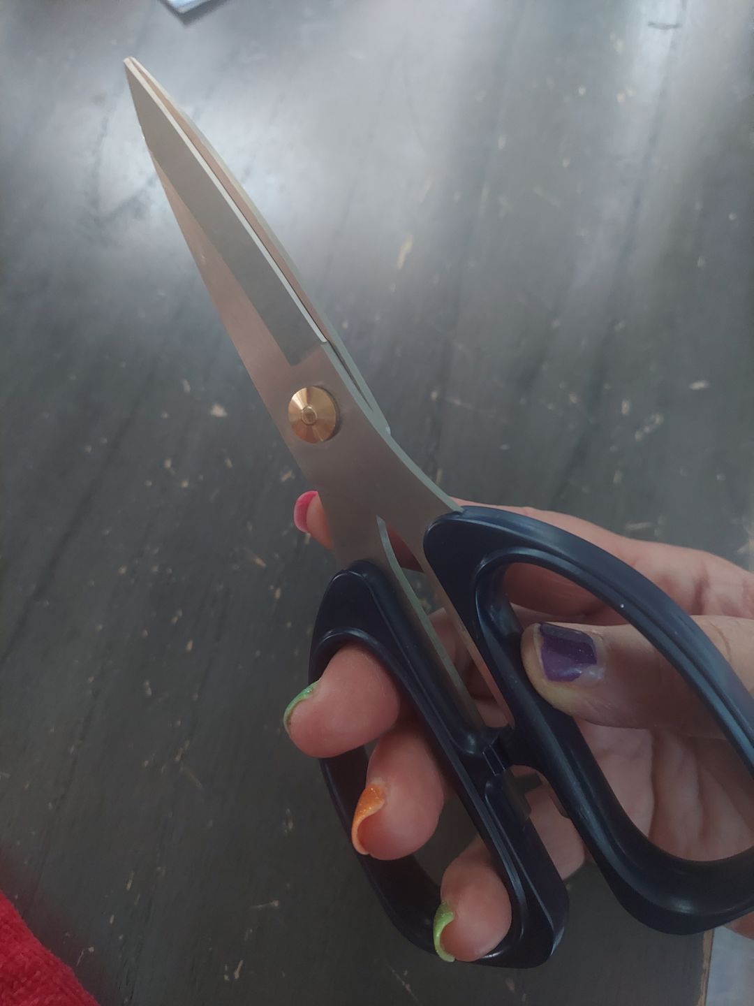 Customer photo review of 7.25"L Scissors Blue Handle MT1043