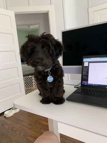 Customer photo review of Anime