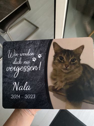 Customer photo review of Katzen Gedenktafel mit Foto & Spruch (UV- und wetterbeständig)