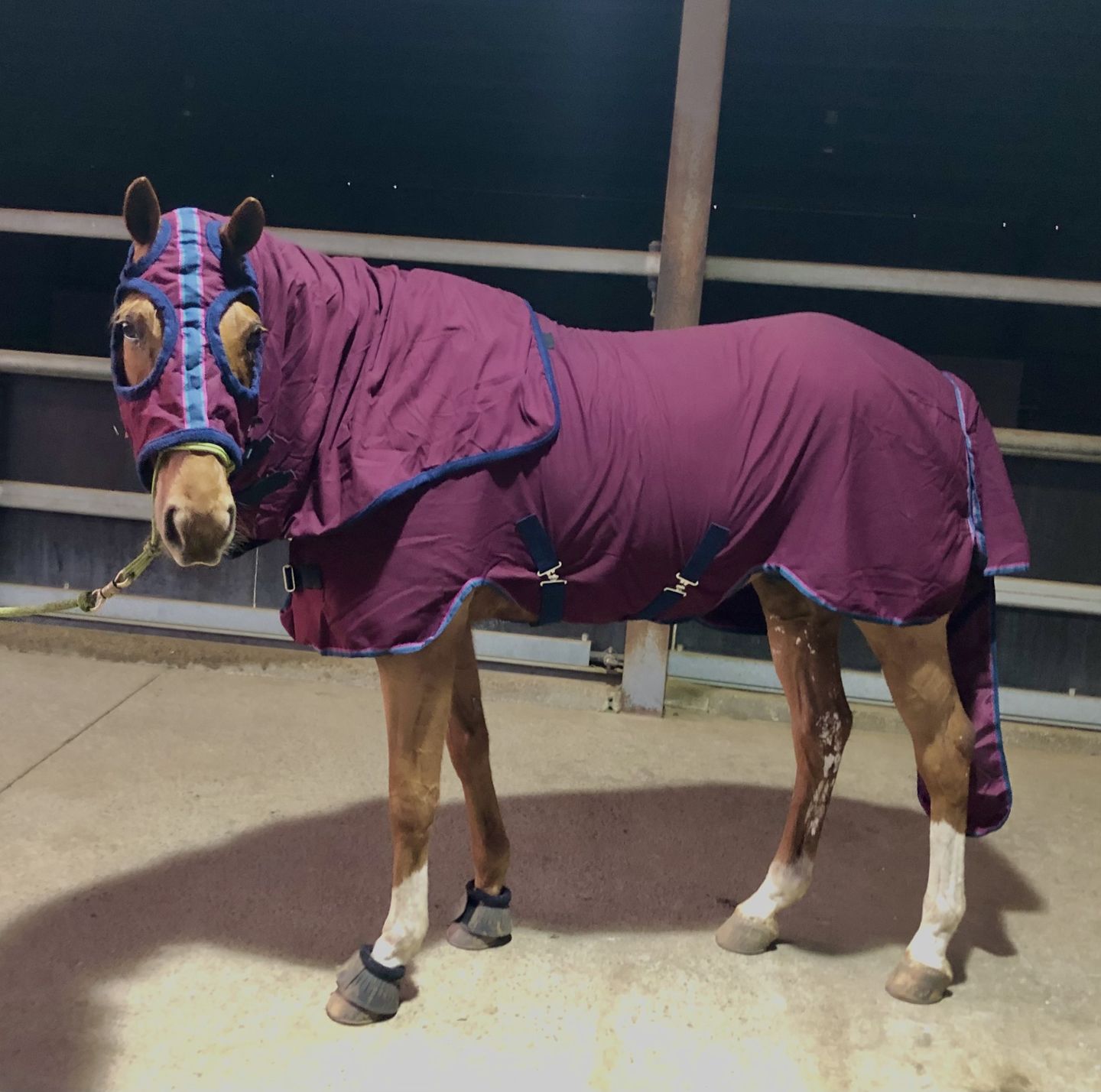 Customer photo review of Rambo Show Sheet Set