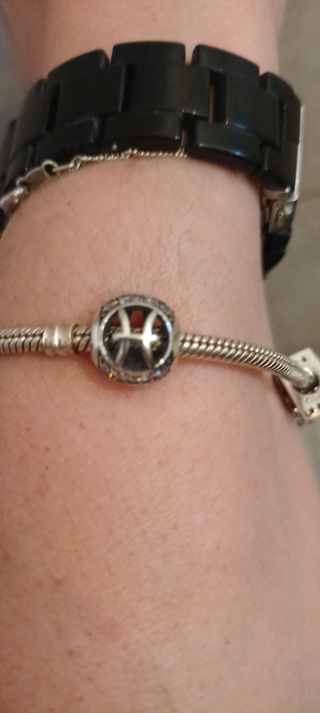 Customer photo review of Charm Horoscopo Diamantado