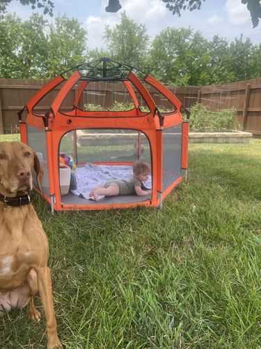 Customer photo review of Pop N' Go™ Playpen