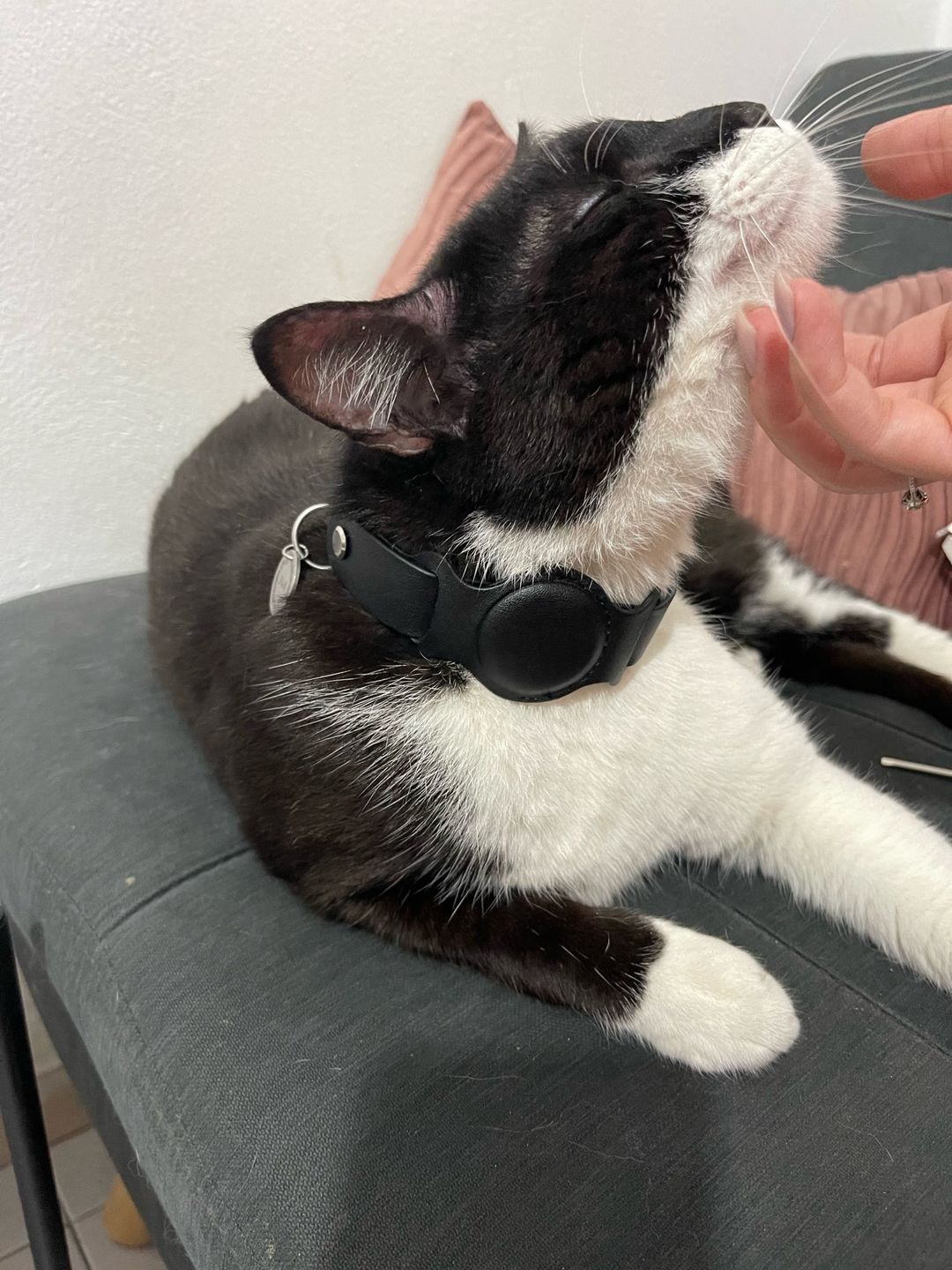Customer photo review of Leather Collar for Apple Airtag